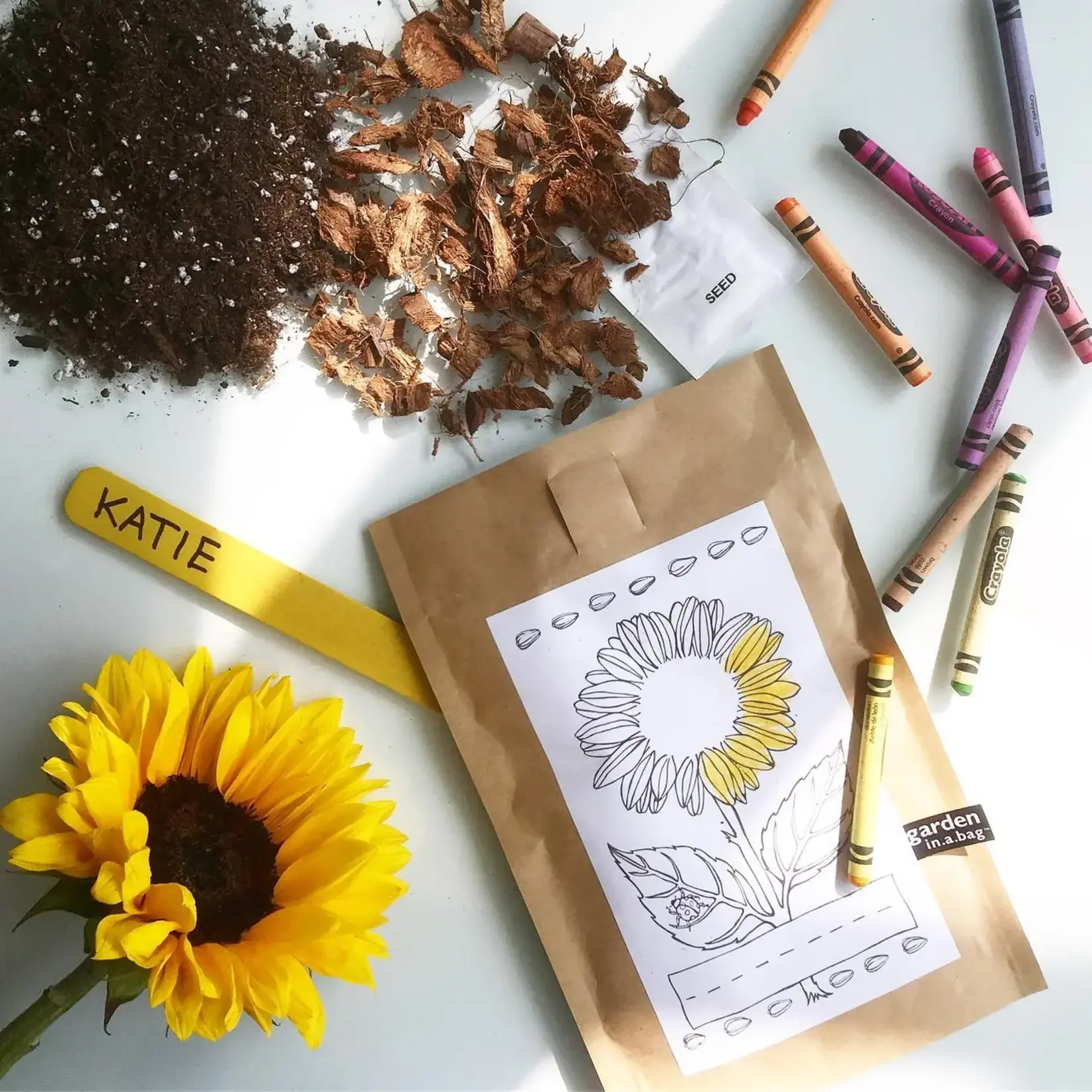 Potting Shed Creations Kids! Garden in A Bag - Sunflower