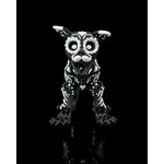 Alebrije Skeleton Dog Toy