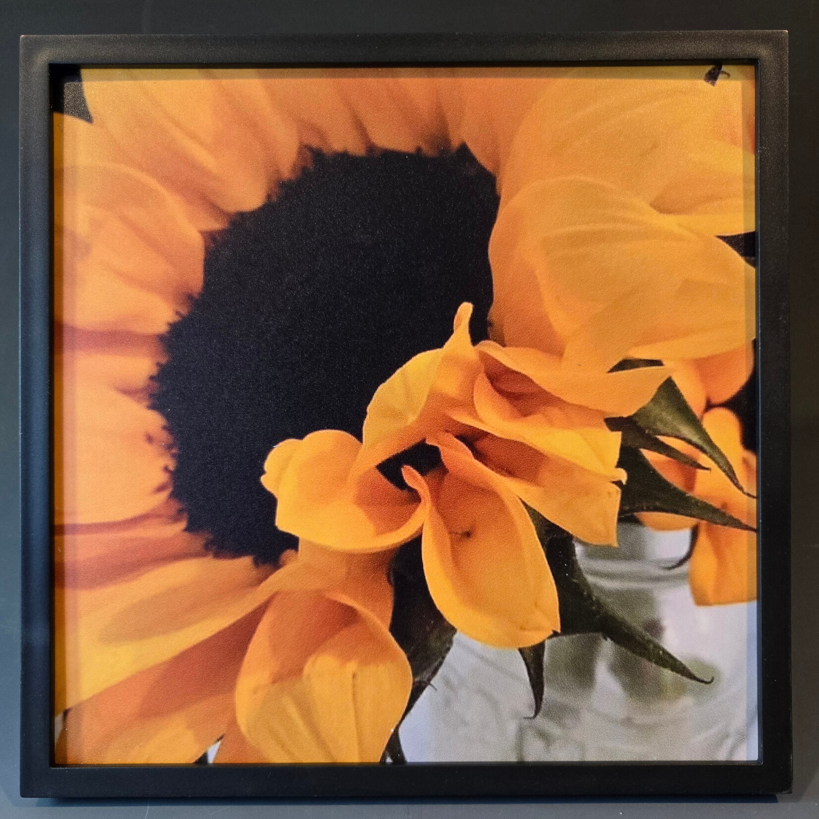 "Sunflower" - Tara Johnson