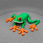 Tree Frog