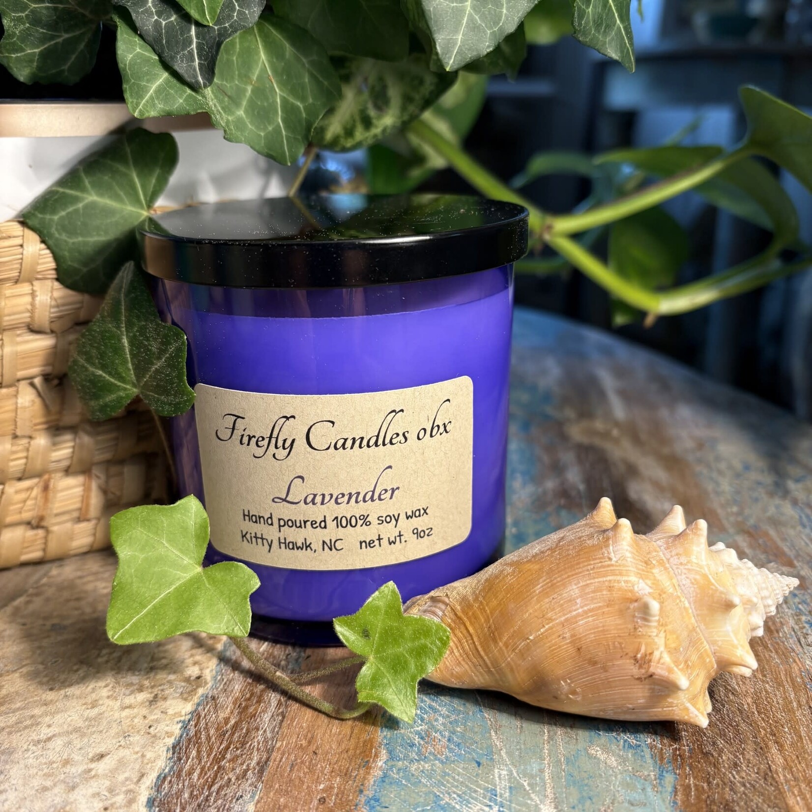 Alicia Wingate Soy Candles | Outer Banks Firefly Collection at Silver Bonsai