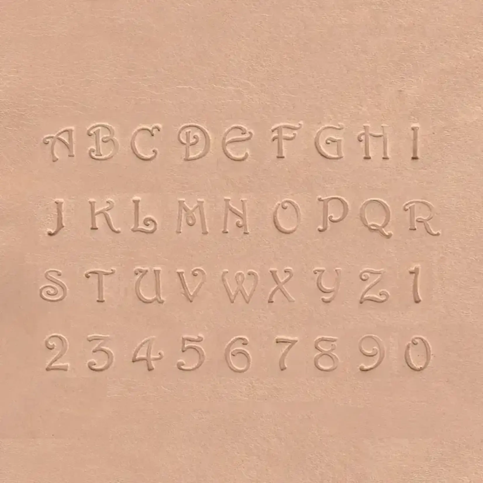 Realeather 3/8" Fancy Alphabet & Number Stamping Tool Set
