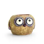 Cohasset Gifts Baby Yellow Owl - Olive - Mini Blobhouse Planter