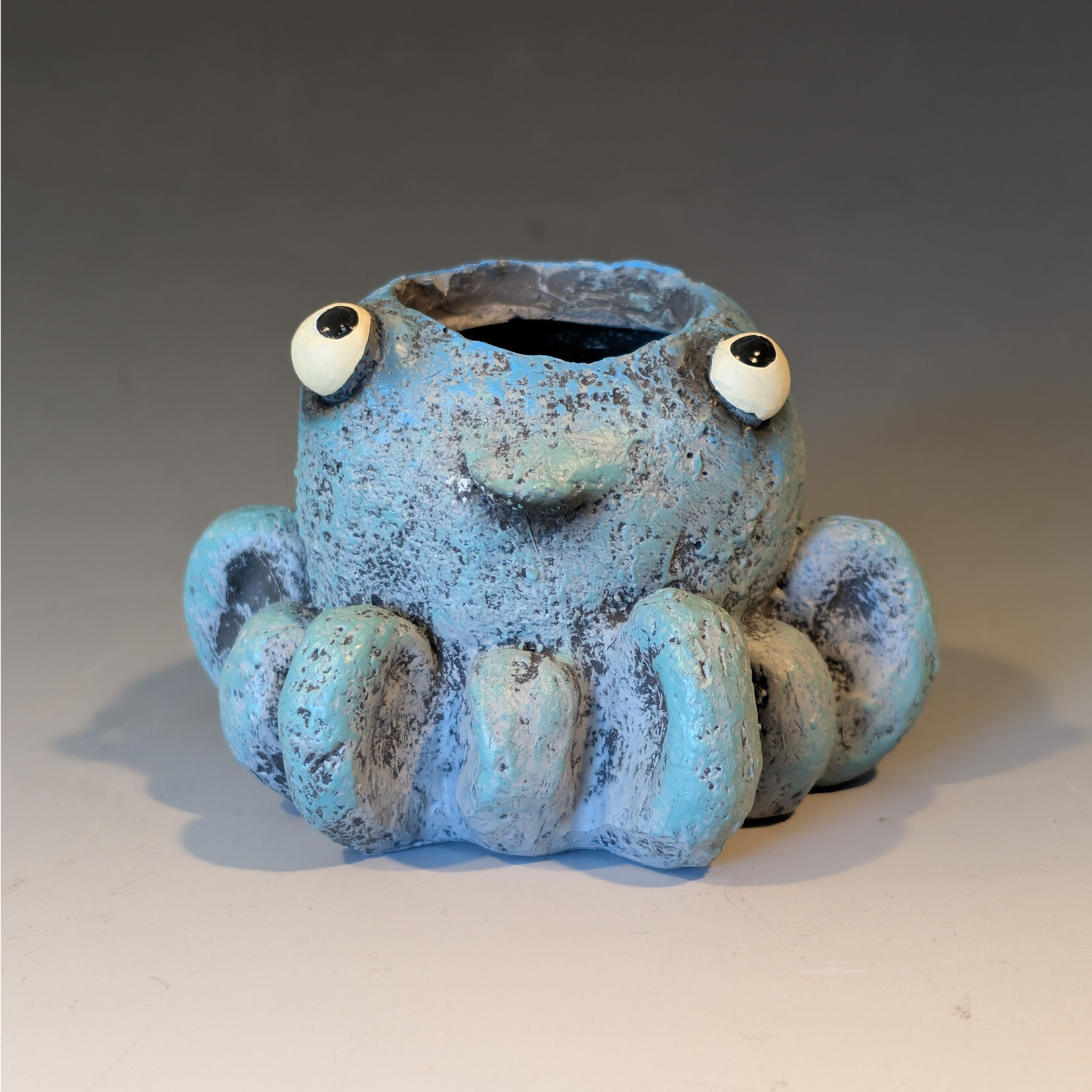 Cohasset Gifts Inky Octopus Planter
