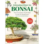 Stone Lantern/Bonsai Today Introduction to Bonsai - The Complete Illustrated Guide for Beginners