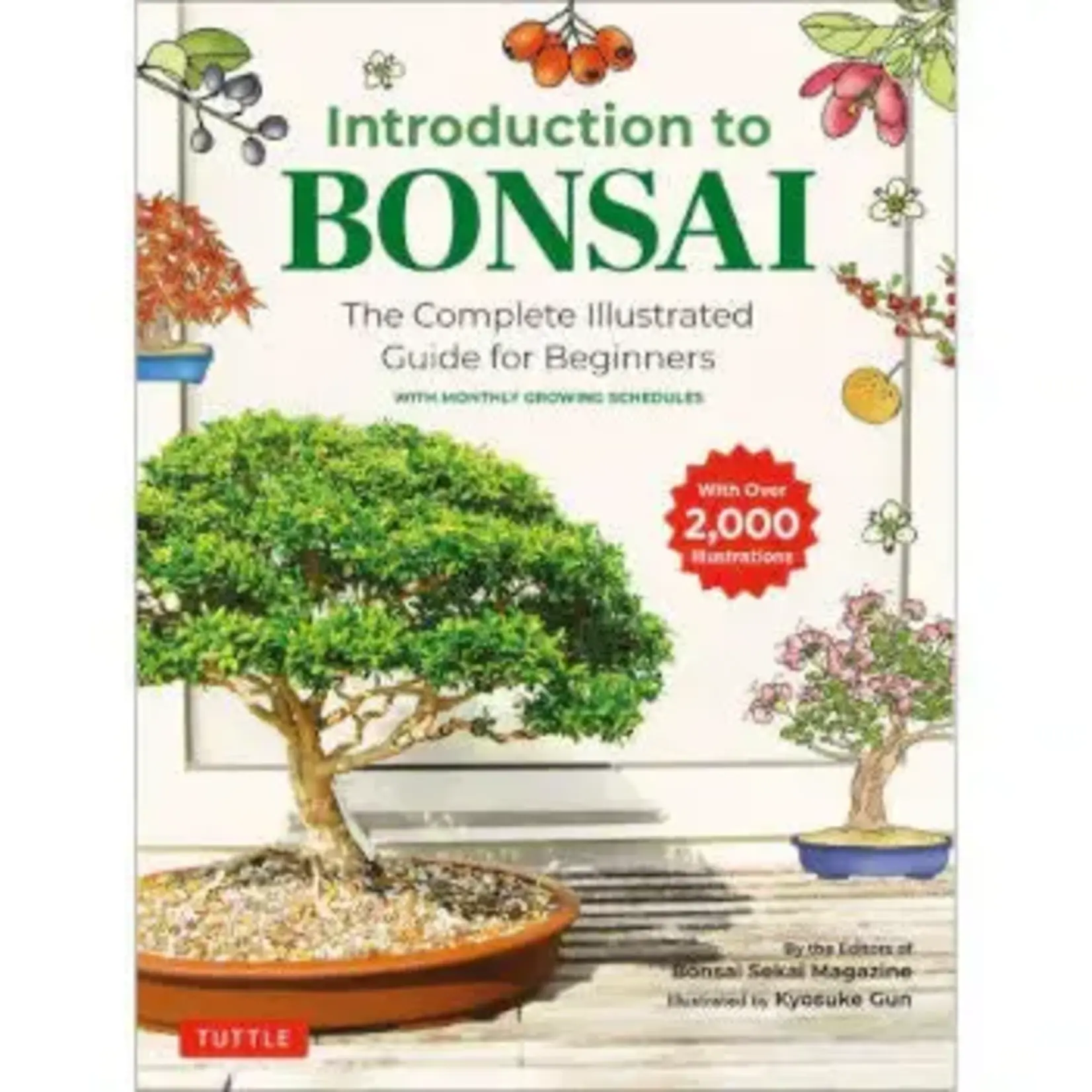 Stone Lantern/Bonsai Today Introduction to Bonsai - The Complete Illustrated Guide for Beginners