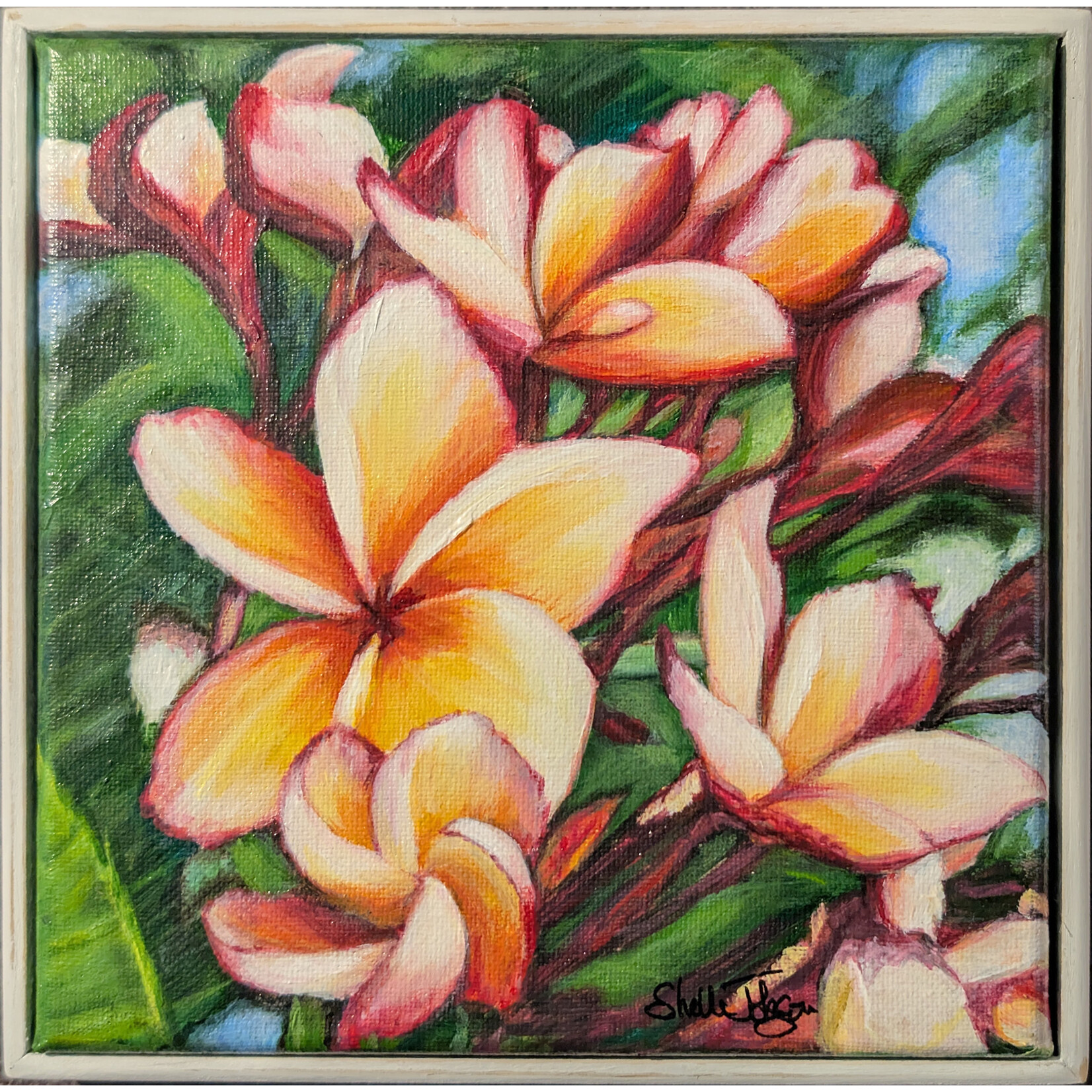 Shelli Johnson Art "Frangipani" - Shelli Johnson