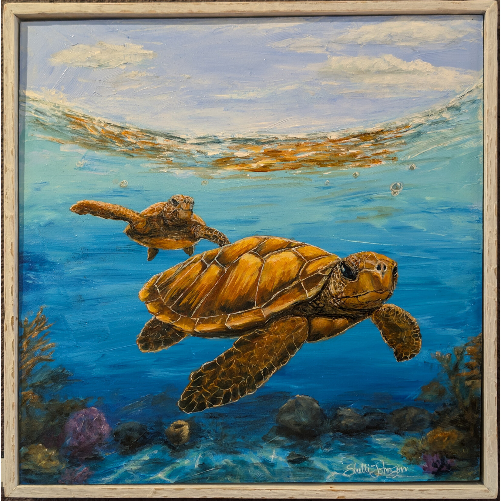 Shelli Johnson Art "On the Reef" - Shelli Johnson