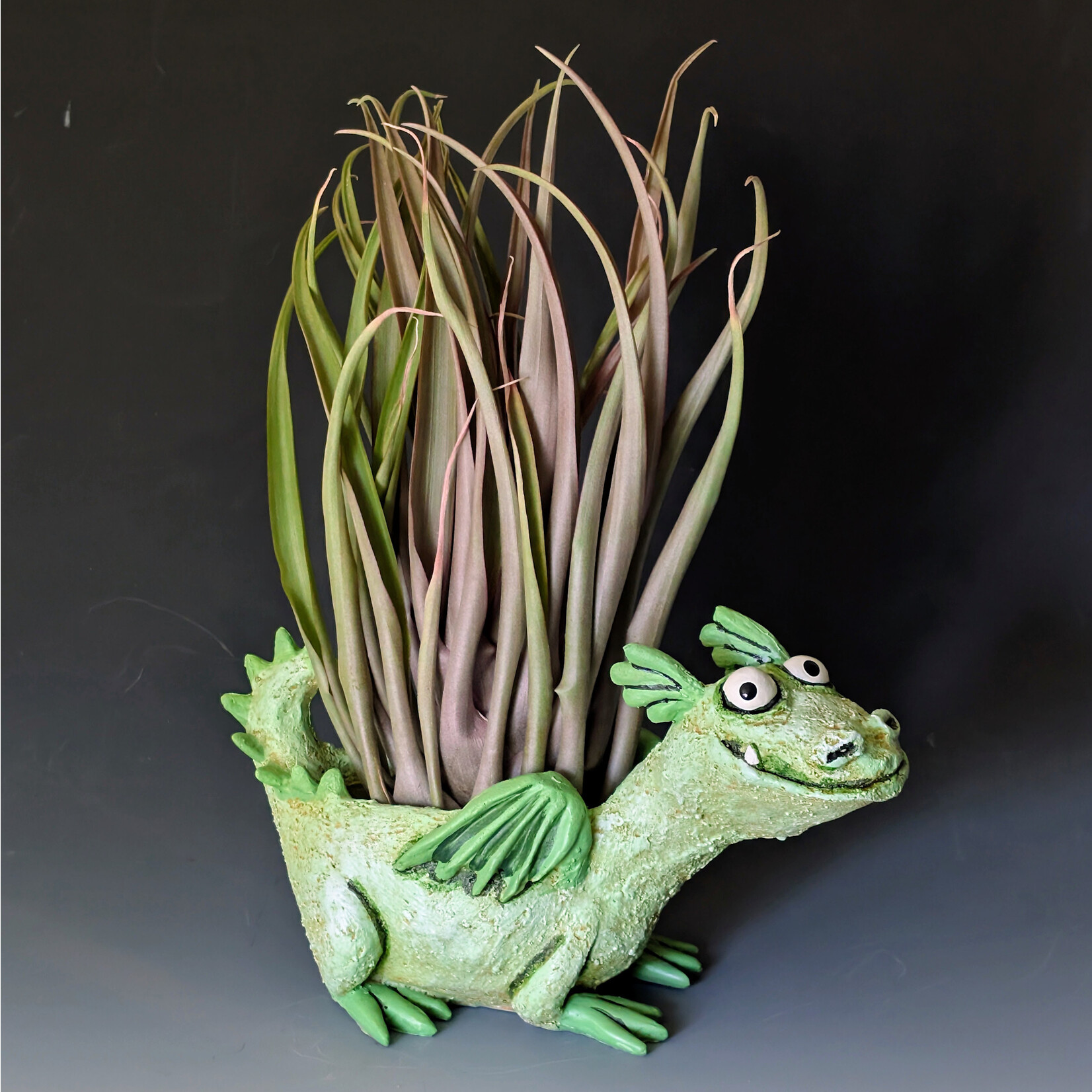 Cohasset Gifts Happy Green Dragon Blobhouse Planter - Capitata Red