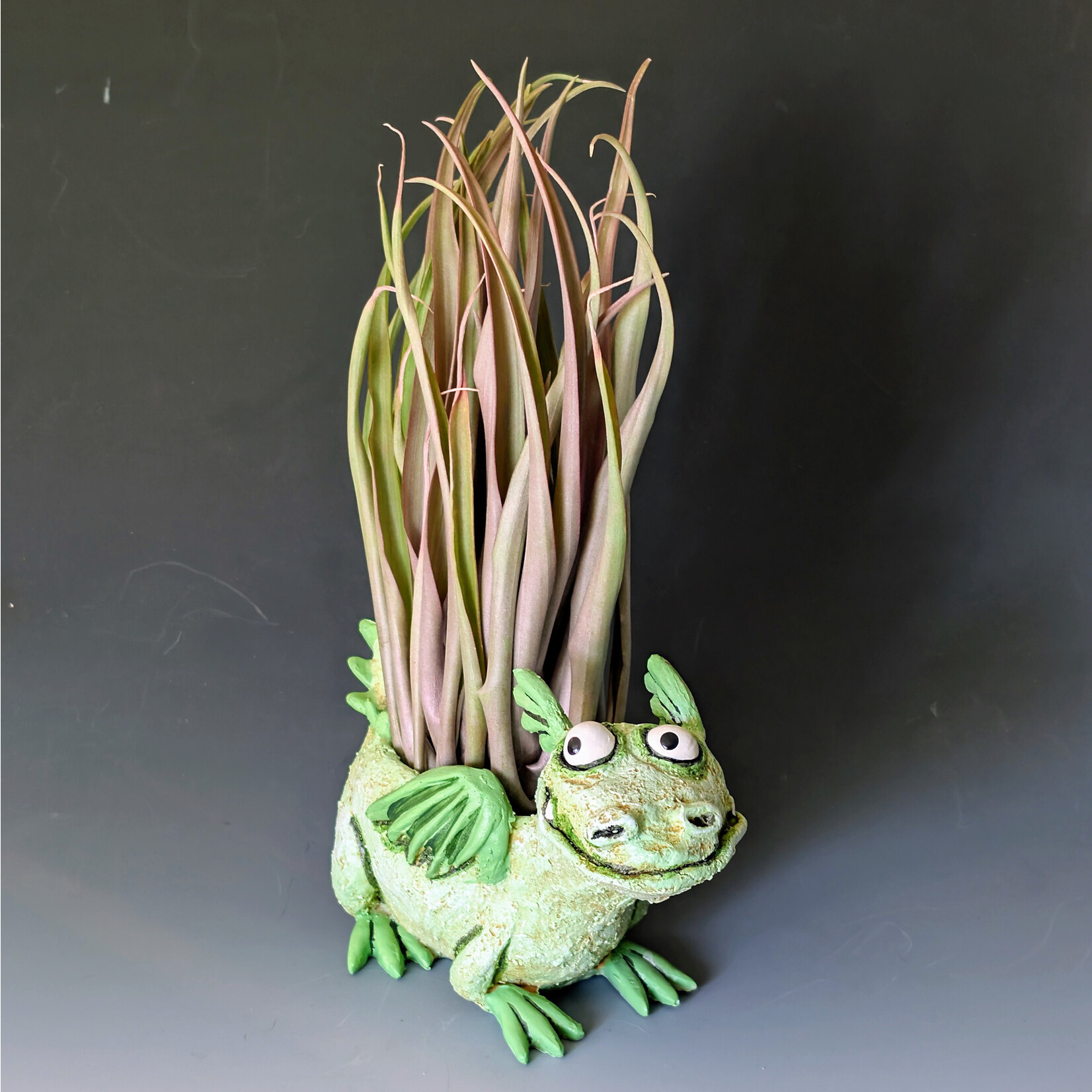 Cohasset Gifts Happy Green Dragon Blobhouse Planter - Capitata Red