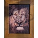 Noah Snyder "Aslan" - Pressed Print - Noah Snyder