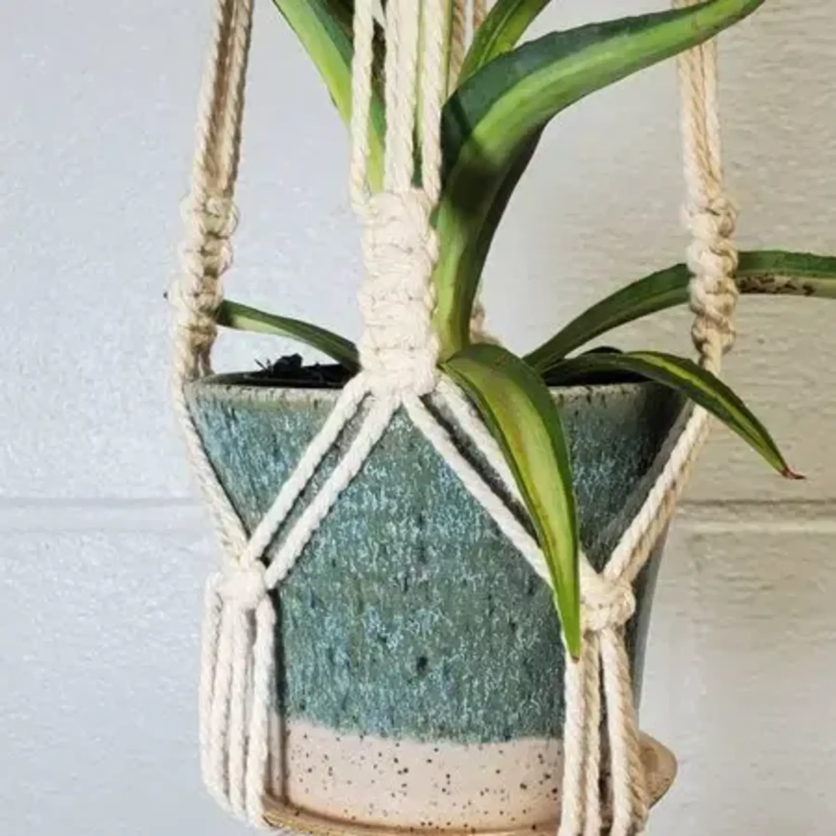 White Squirrel Clayworks Hanging Pot & Hanger 4.5" - Handmade Stoneware Clay - Turquoise