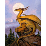 Matt Stawicki Art "Northwestern Dragon" - Matt Stawicki