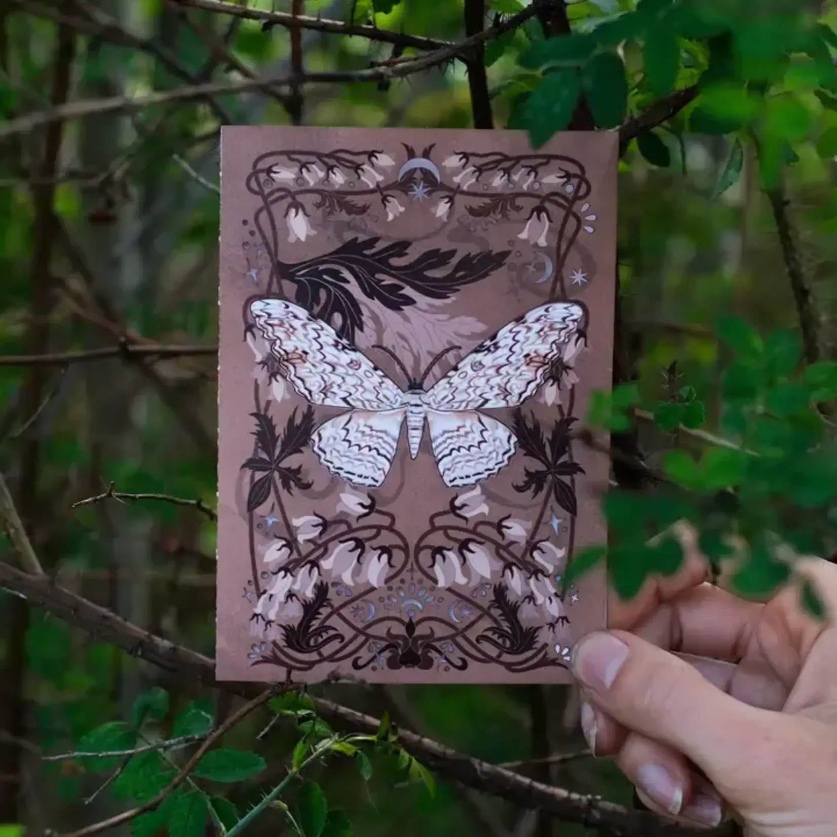 Moth and Myth White Witch Moth Greeting Card
