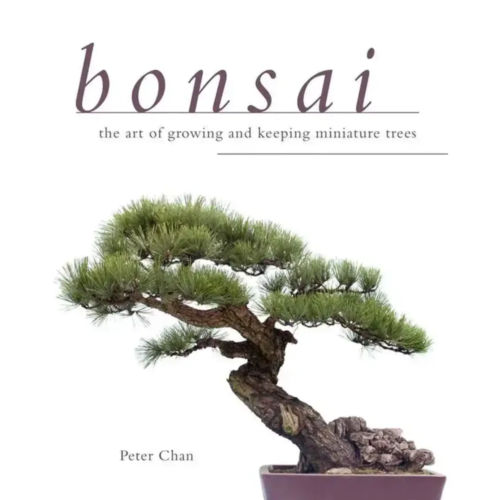 Simon & Schuster Bonsai by Peter Chan