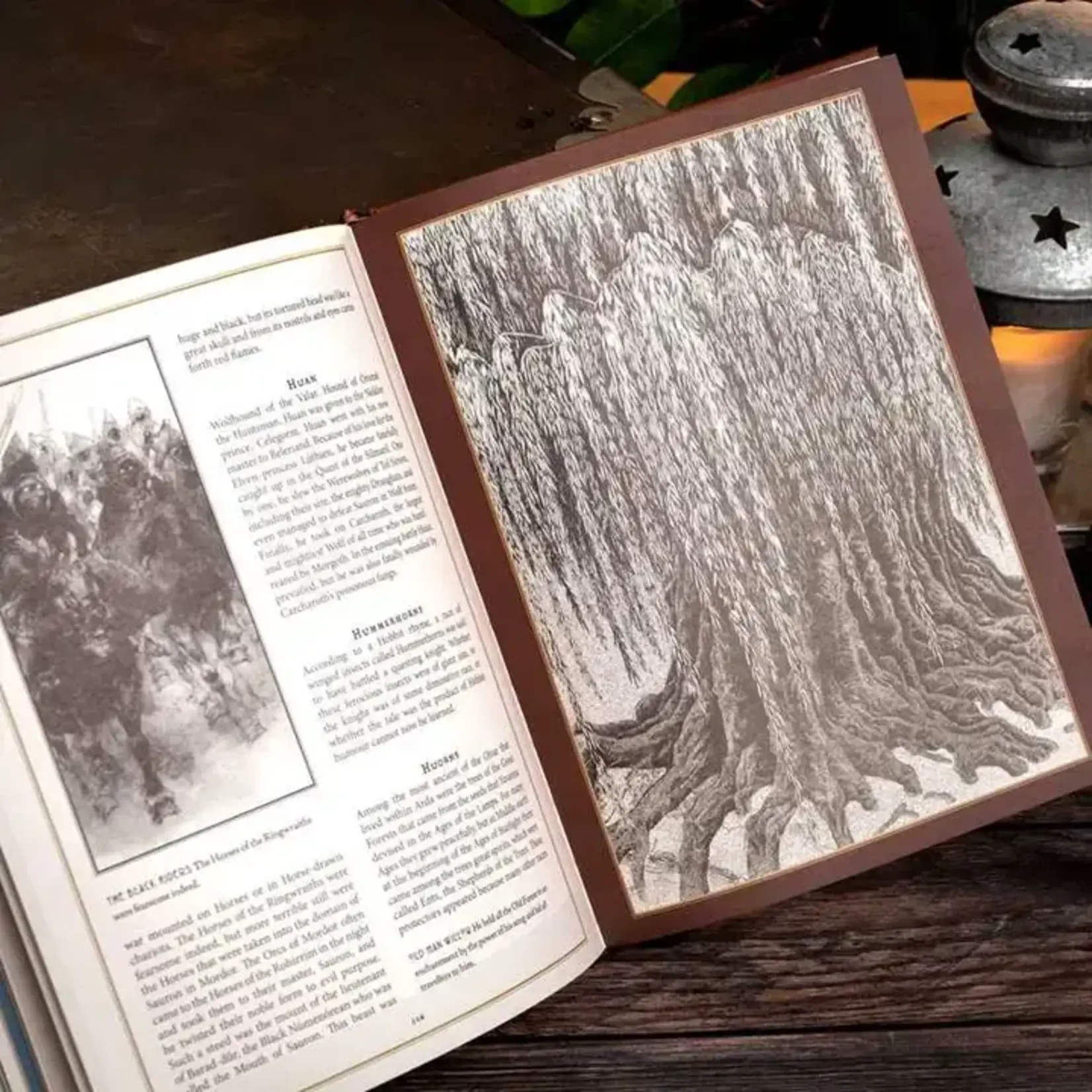 Simon & Schuster Dictionary of Tolkien Deluxe Edition by David Day