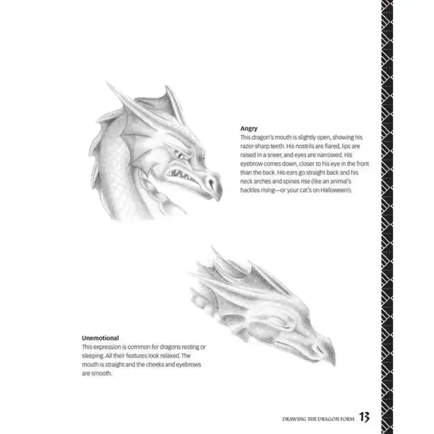 Simon & Schuster Drawing Dragons Sketchbook by Sandra Staple