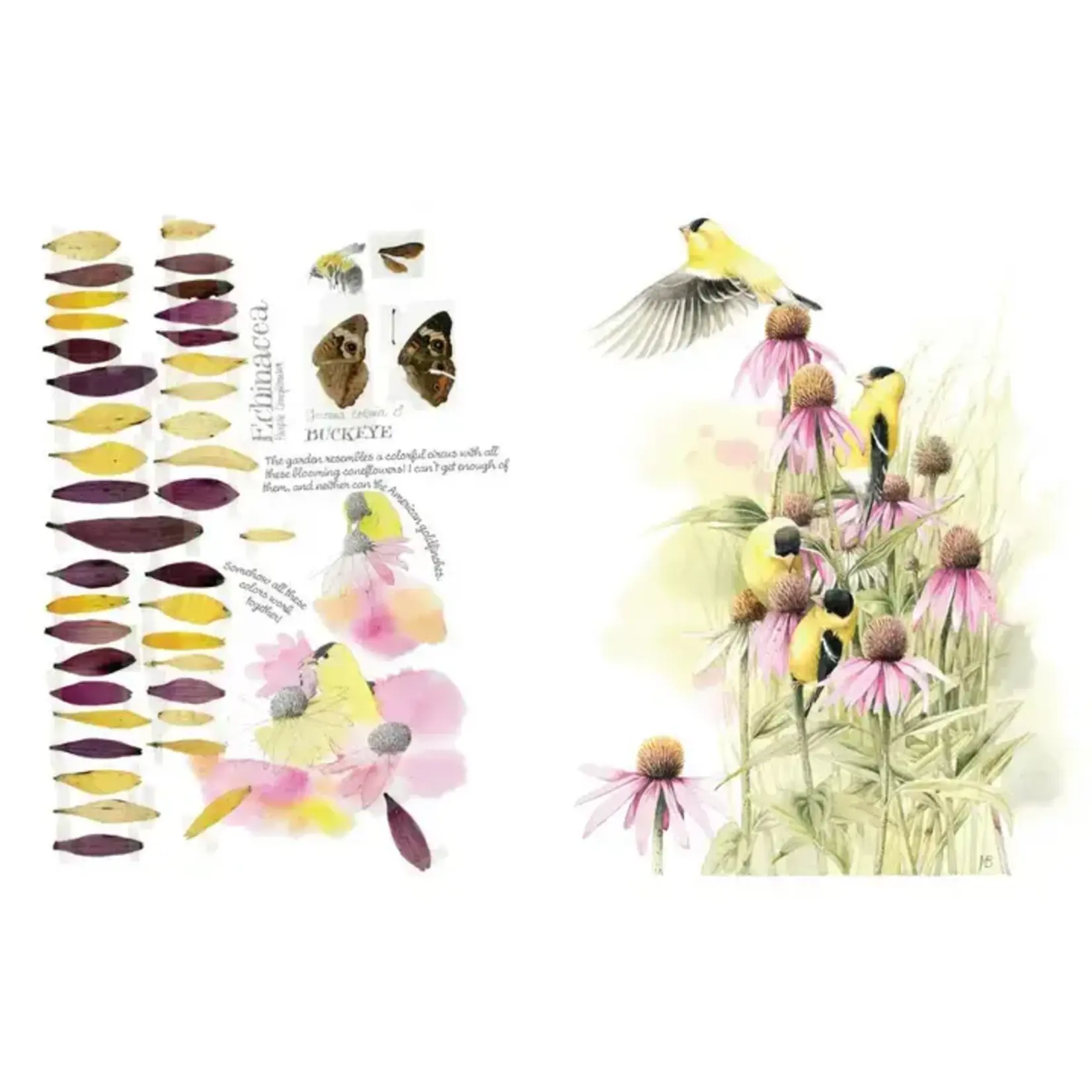Simon & Schuster Inspired by Nature Sketchbook by Marjolein  Bastin
