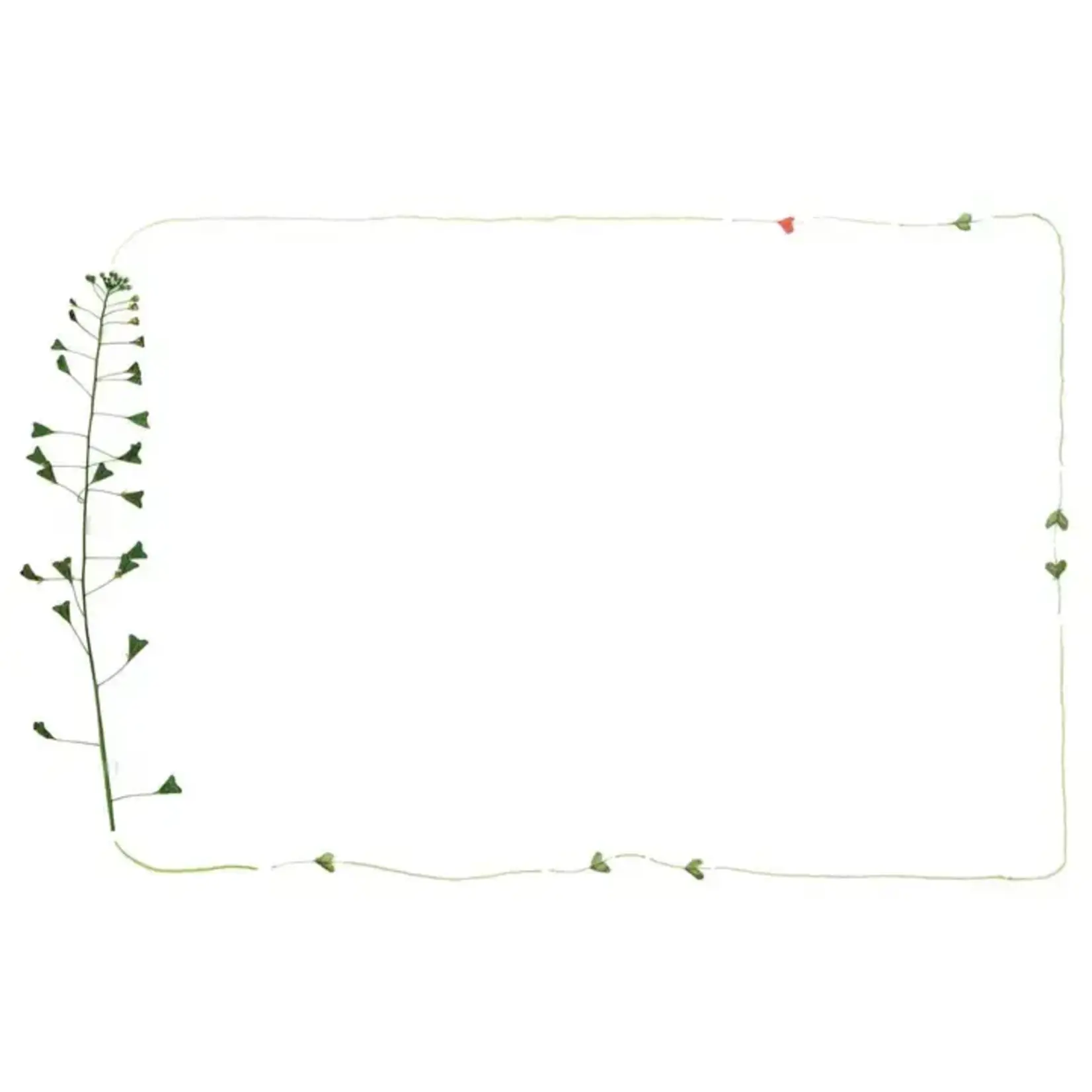 Simon & Schuster Inspired by Nature Sketchbook by Marjolein  Bastin