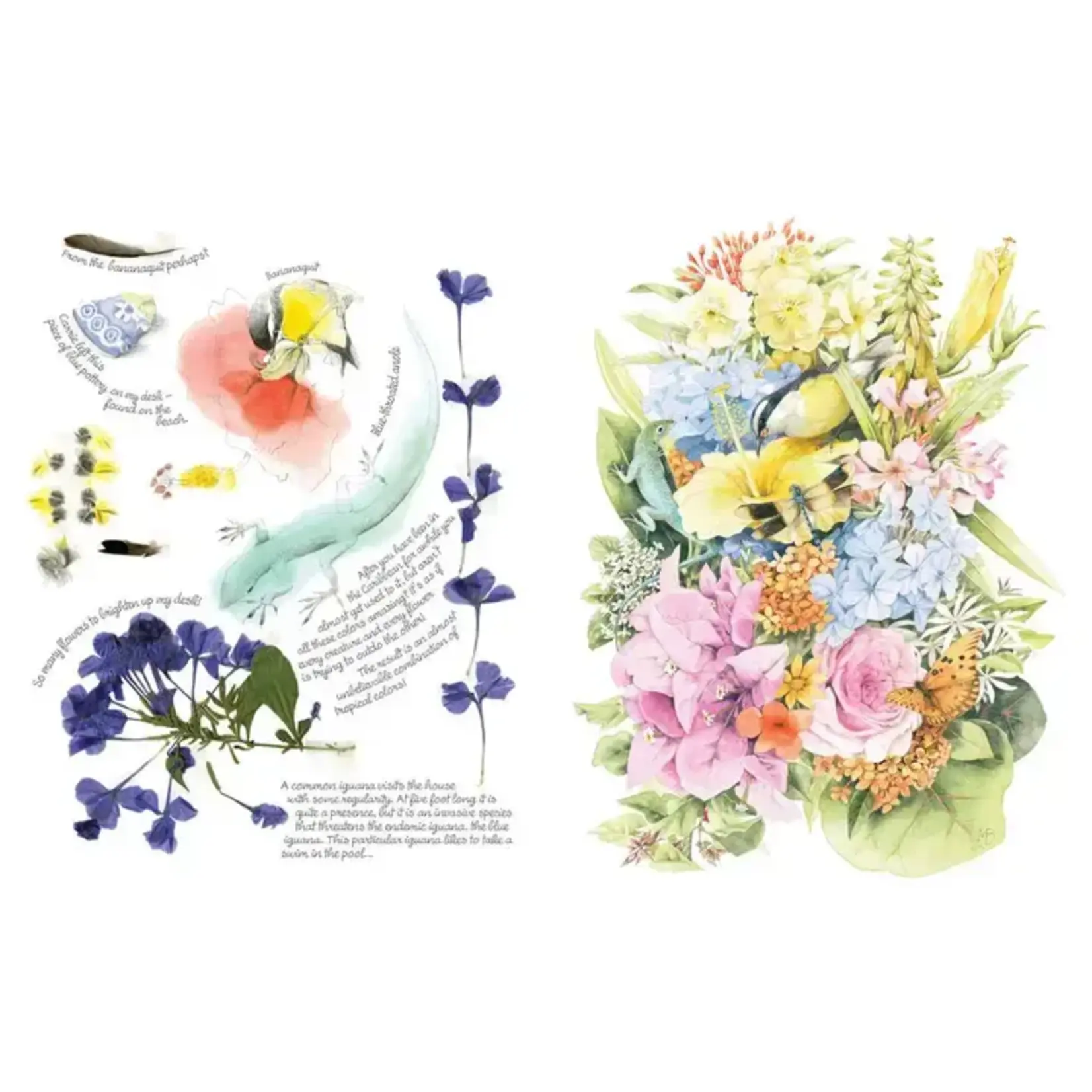 Simon & Schuster Inspired by Nature Sketchbook by Marjolein  Bastin