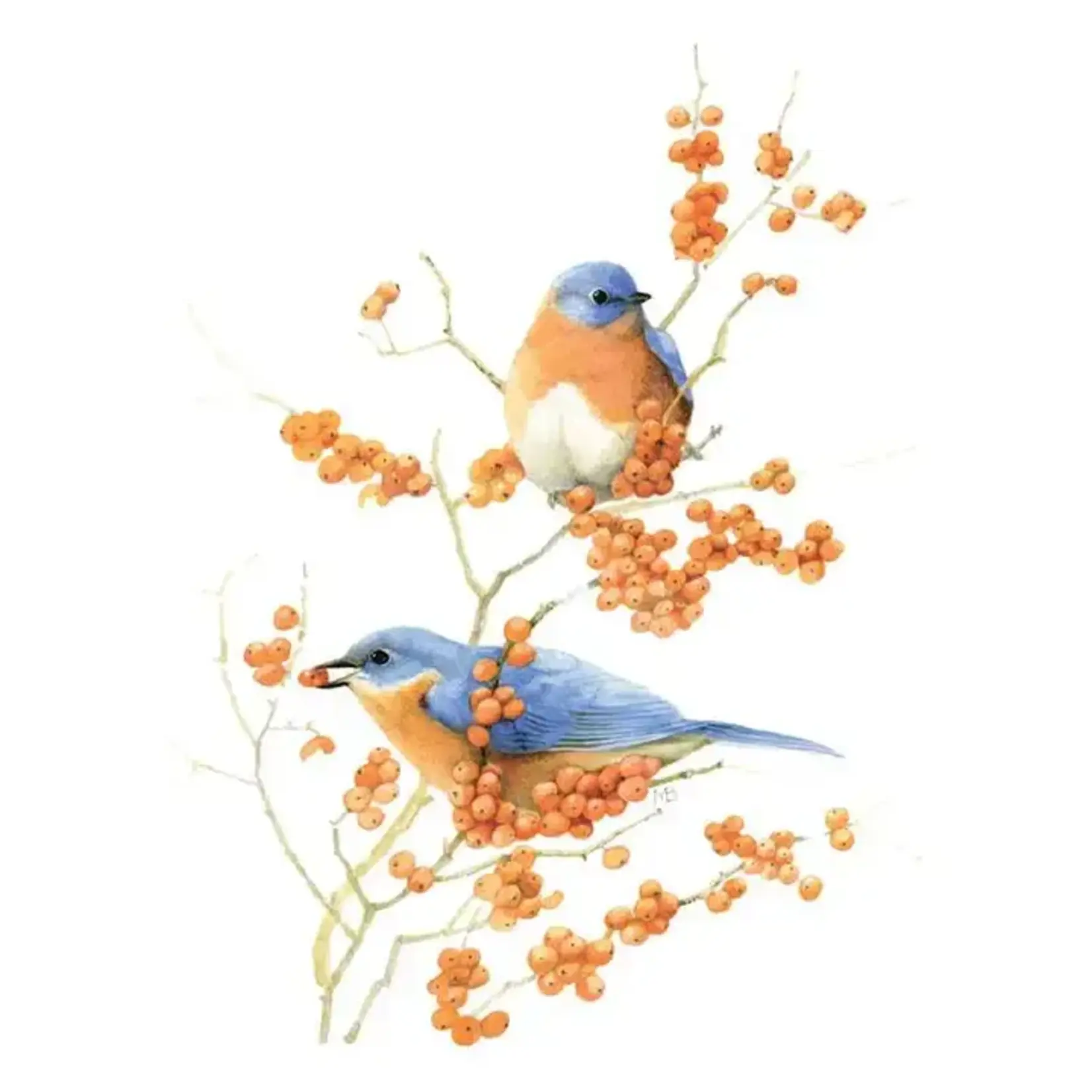 Simon & Schuster Inspired by Nature Sketchbook by Marjolein  Bastin