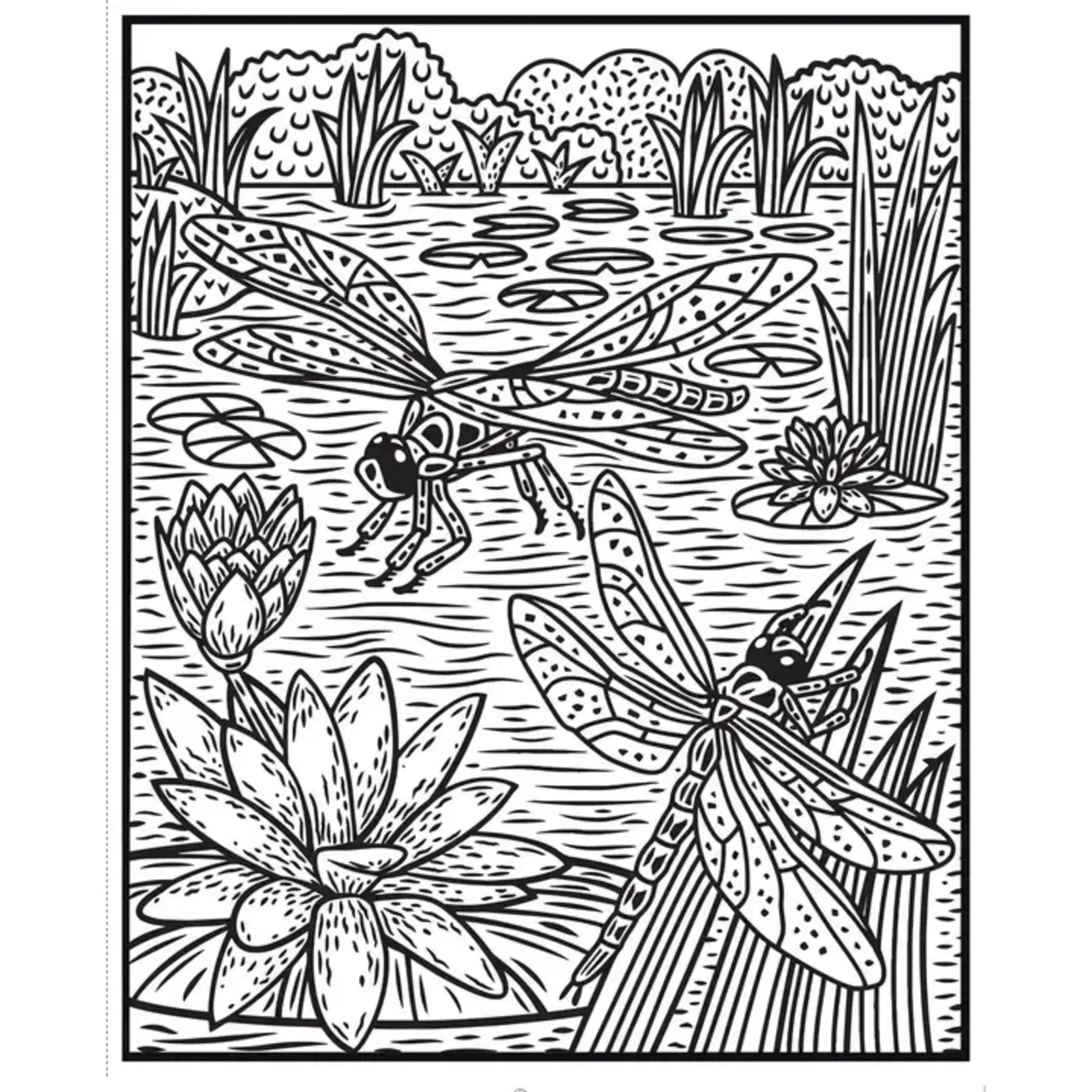 HarperCollins Bugs Magic Painting Book : Usborne