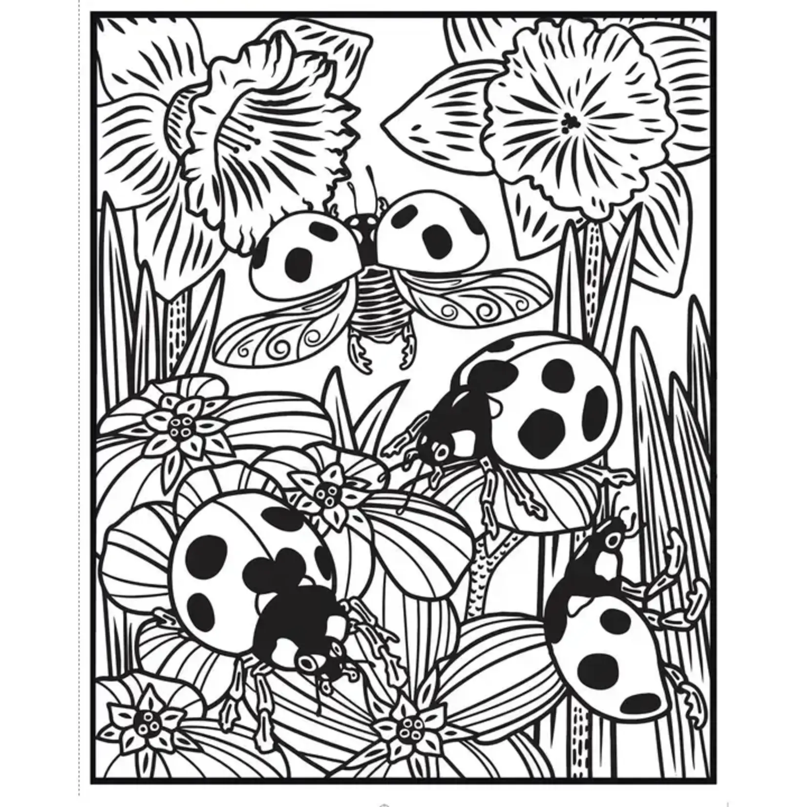 HarperCollins Bugs Magic Painting Book : Usborne