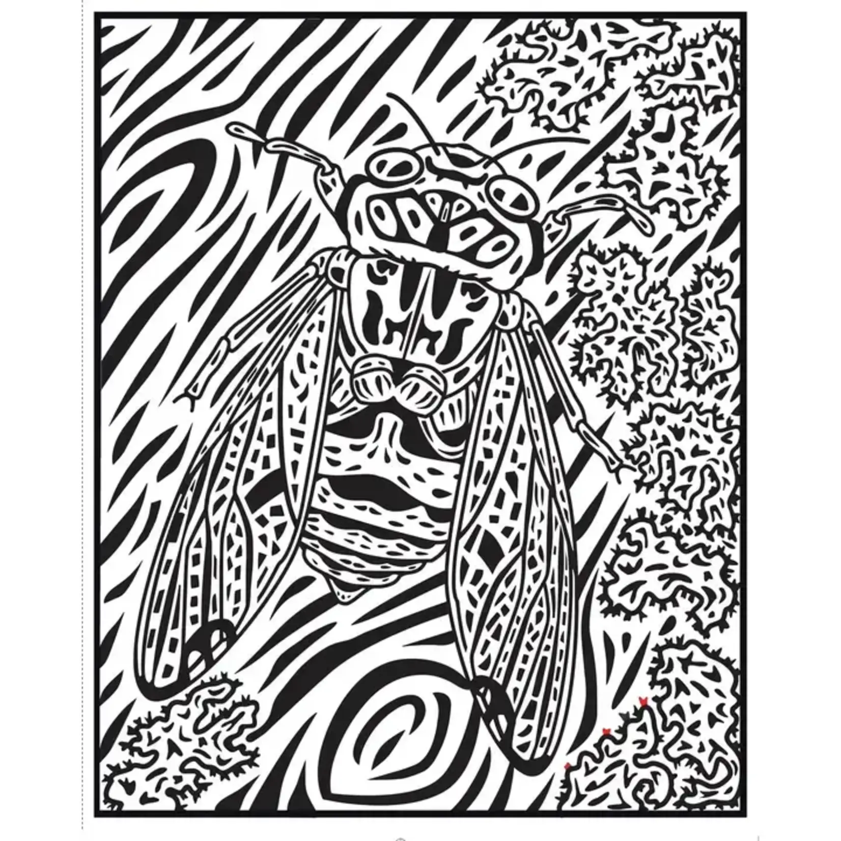 HarperCollins Bugs Magic Painting Book : Usborne