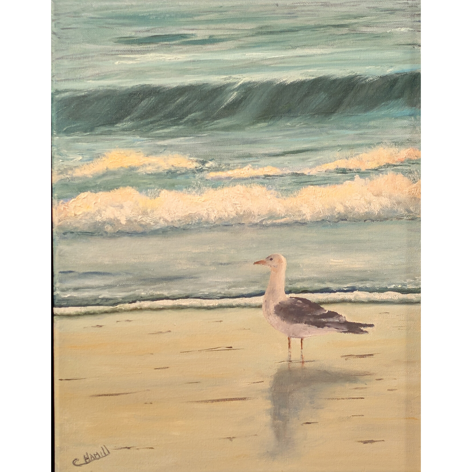 Catherine Hamill Art "Contemplative Sea Gull" - Catherine Hamill