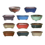 Lotus International Inc. 4" Cactus/Bonsai Pot