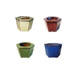 Lotus International Inc. 6" Self-Watering Pot