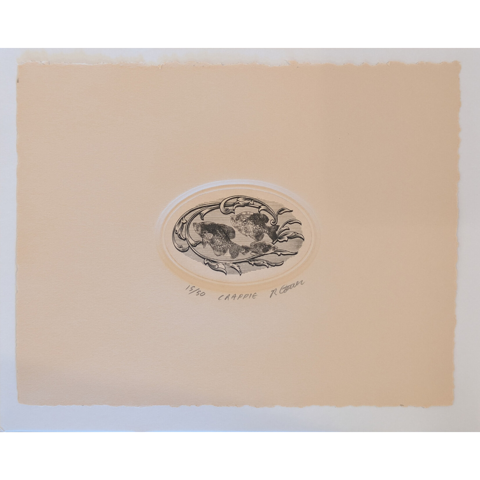 Ray Cover - Art & Engraving "Crappie" - Ray Cover Print