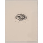Ray Cover - Art & Engraving "Suspended" - Ray Cover Print