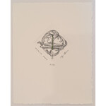 Ray Cover - Art & Engraving "Mosquito Hawk" - Ray Cover Print