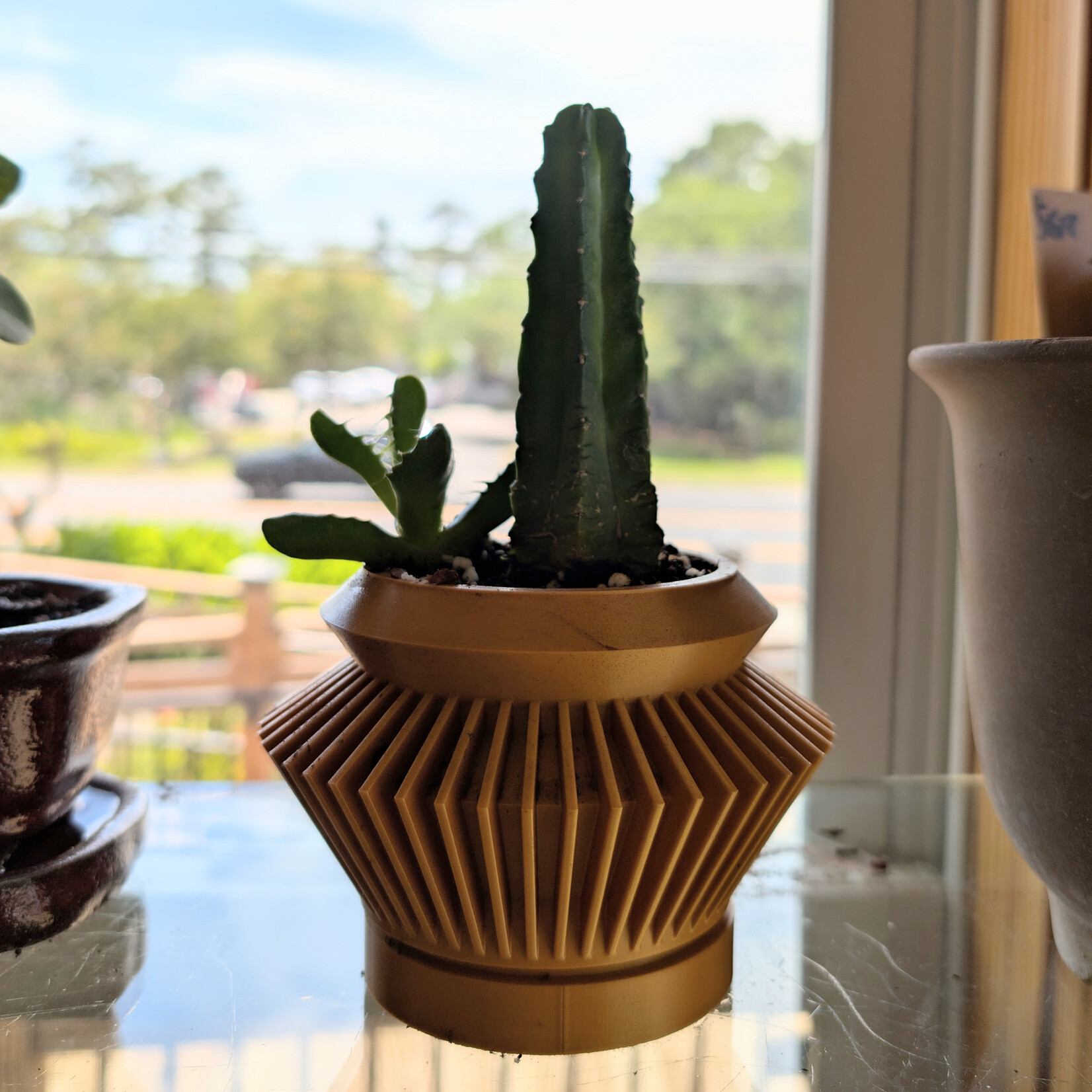 Quano Planter - Cactus & Succulent