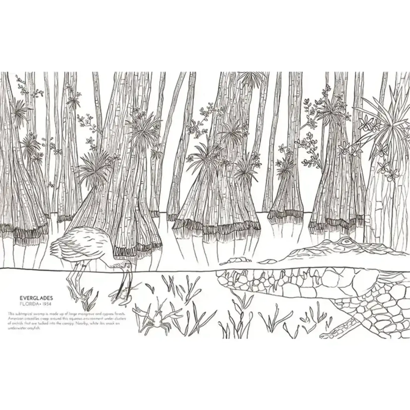 HarperCollins The National Parks Coloring Book by Sophie Tivona