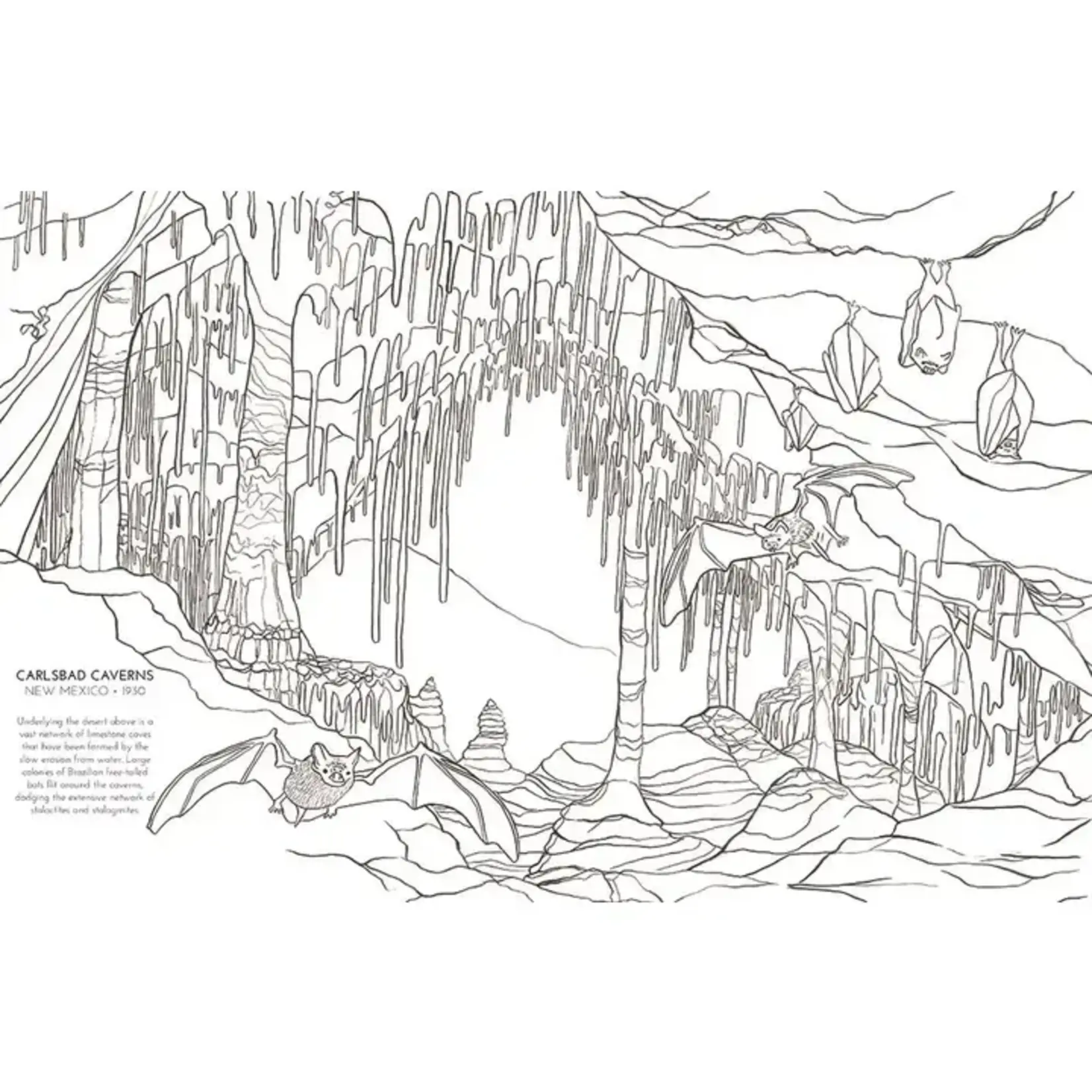 HarperCollins The National Parks Coloring Book by Sophie Tivona