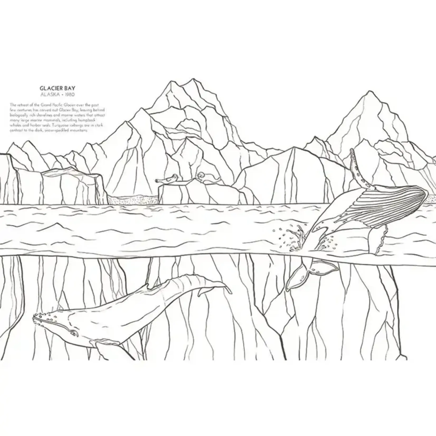 HarperCollins The National Parks Coloring Book by Sophie Tivona