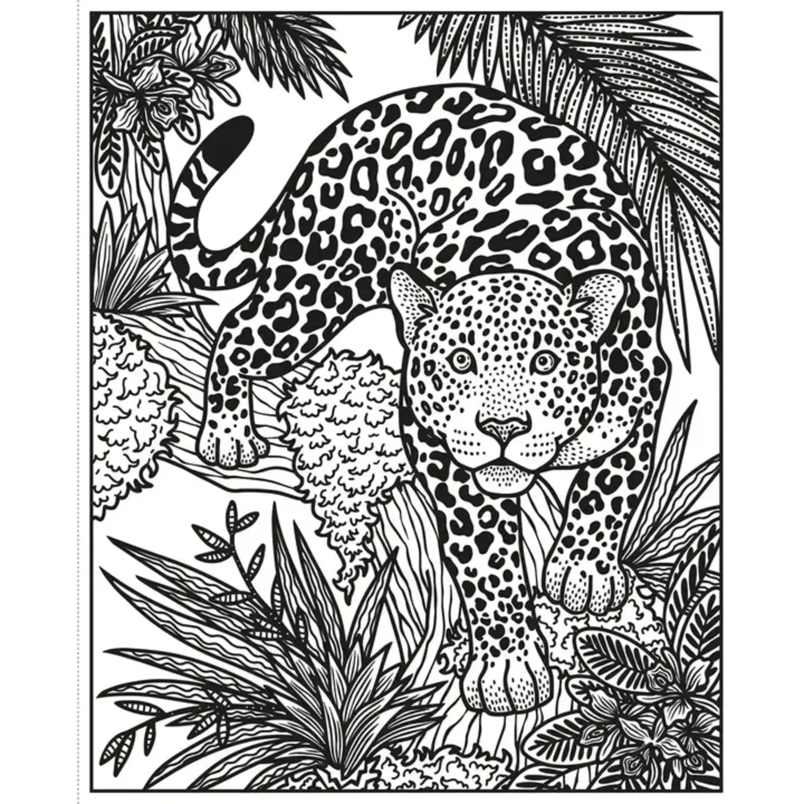 HarperCollins Wild Animals Magic Painting Book : Usborne