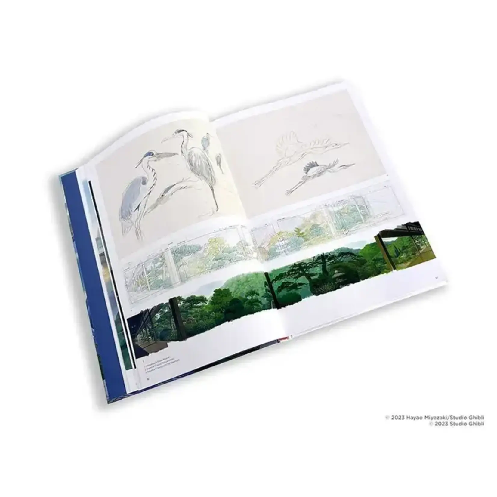 Simon & Schuster Art of the Boy and the Heron By Hayao Miyazaki