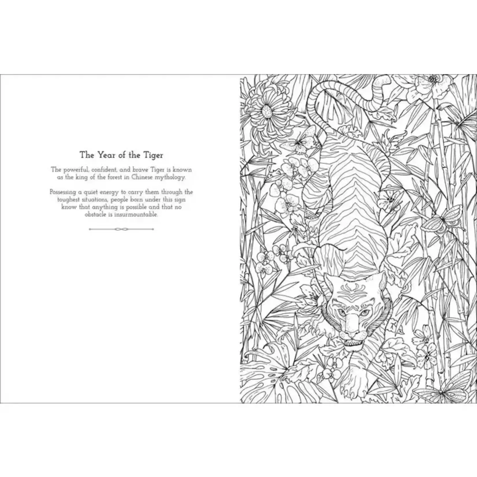 Simon & Schuster Astrology Coloring By Ana Jarén