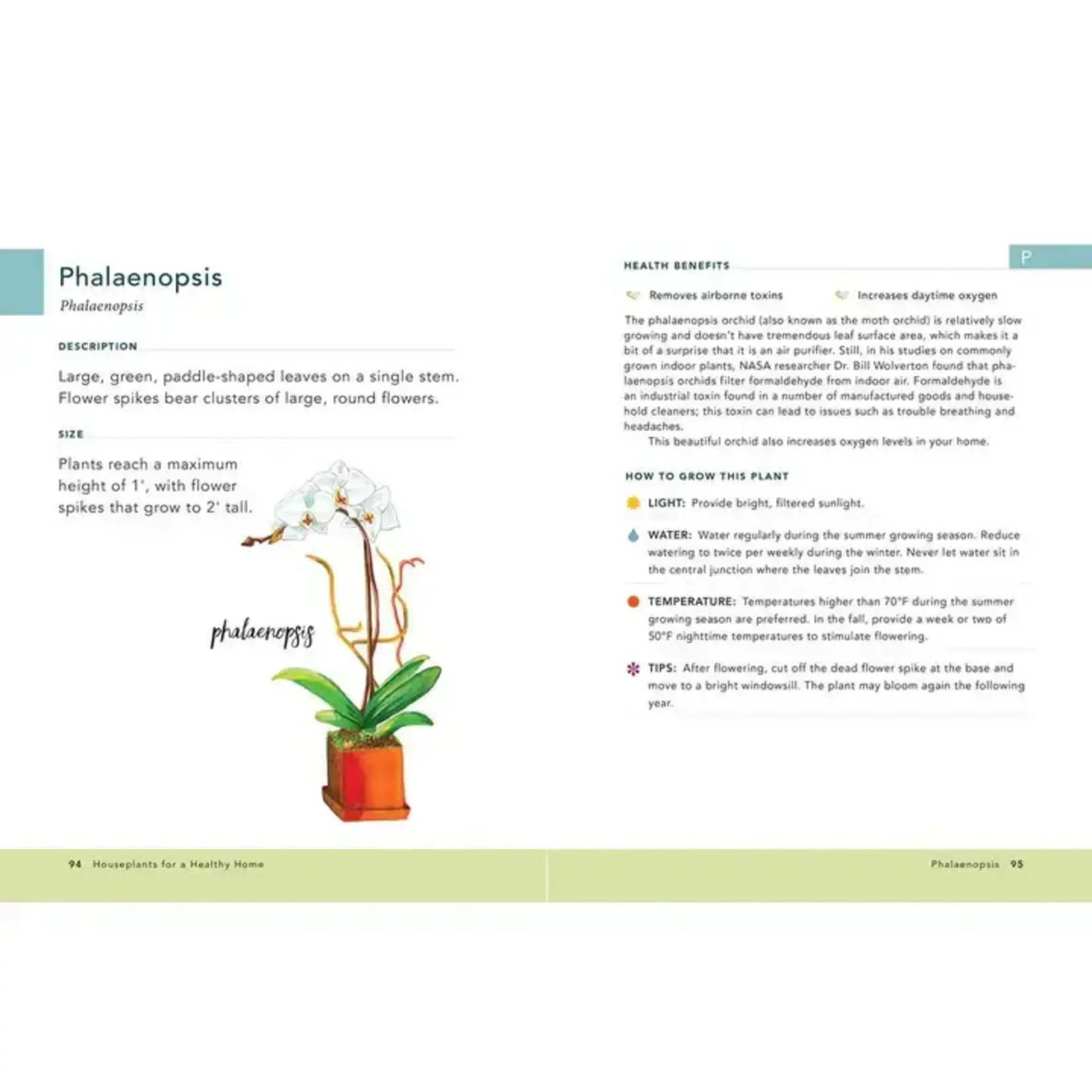 Simon & Schuster Houseplants For A Healthy Home By Jon Vanzile