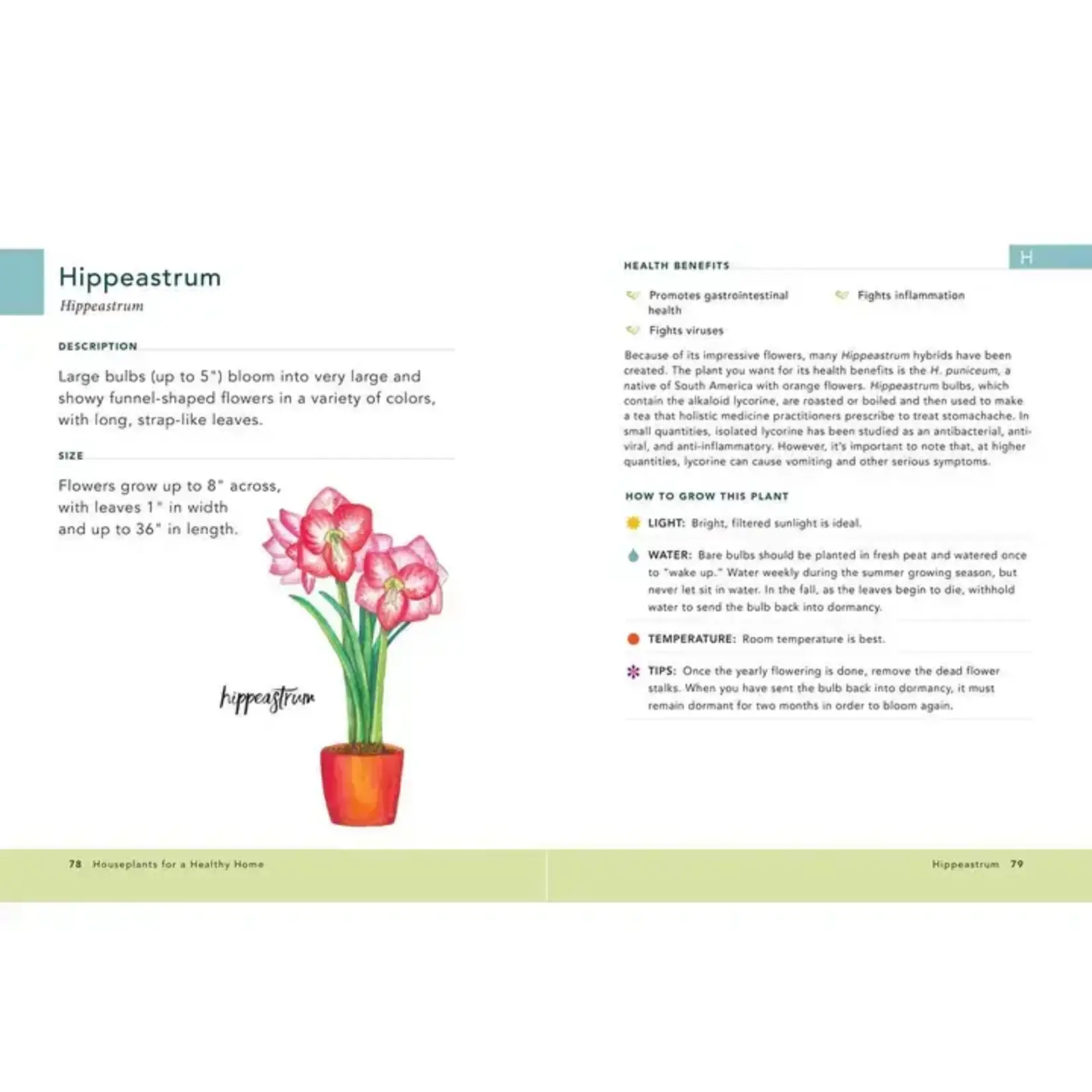 Simon & Schuster Houseplants For A Healthy Home By Jon Vanzile