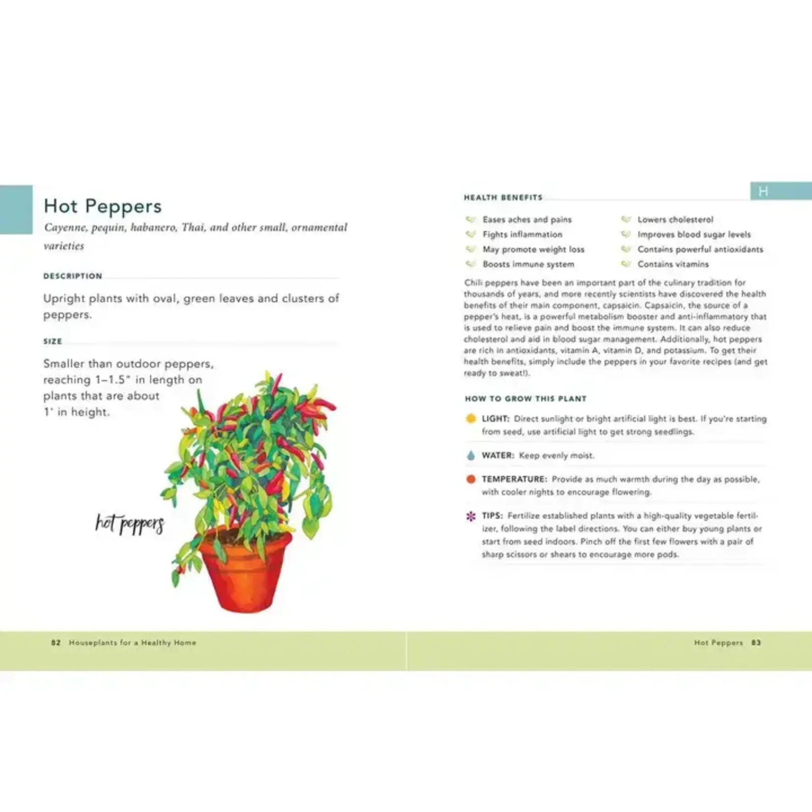 Simon & Schuster Houseplants For A Healthy Home By Jon Vanzile