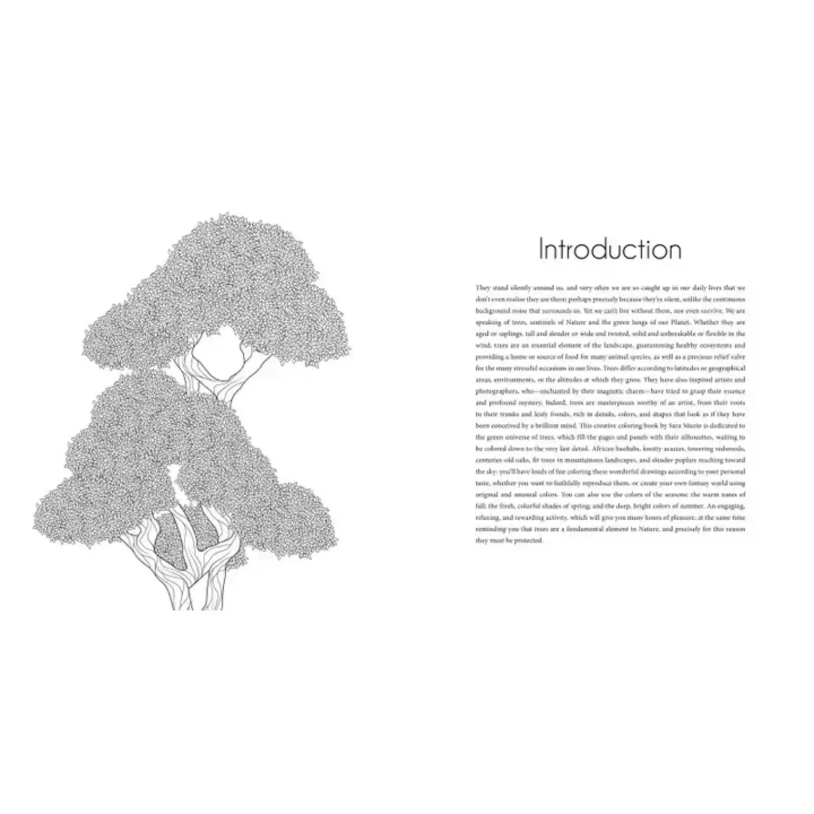 Simon & Schuster Splendor of Trees Coloring Book