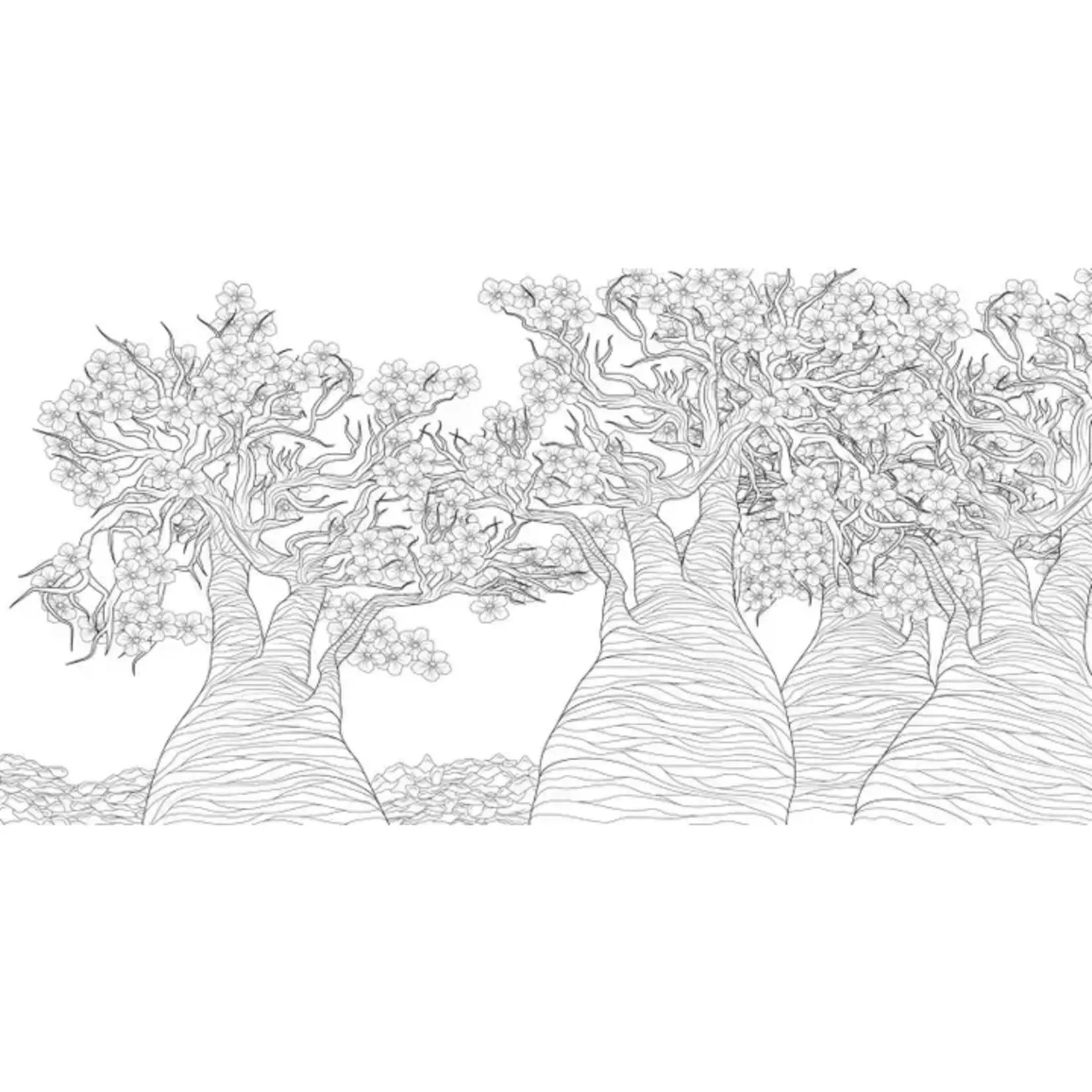 Simon & Schuster Splendor of Trees Coloring Book