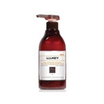 Saryna Key Saryna Key - Color Lasting - Shampoo for Colored, Lightened and Normal to Dry Hair 500ml
