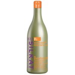 BES BES - Shampoo Silkat F1 Deforforante 1L