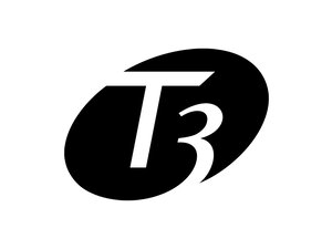 T3