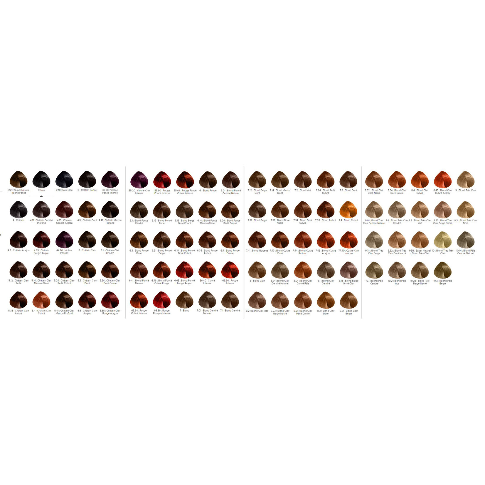 Revlon Revlon - Revlonissimo Colorsmetique- Niveau 1 à 6 60ml